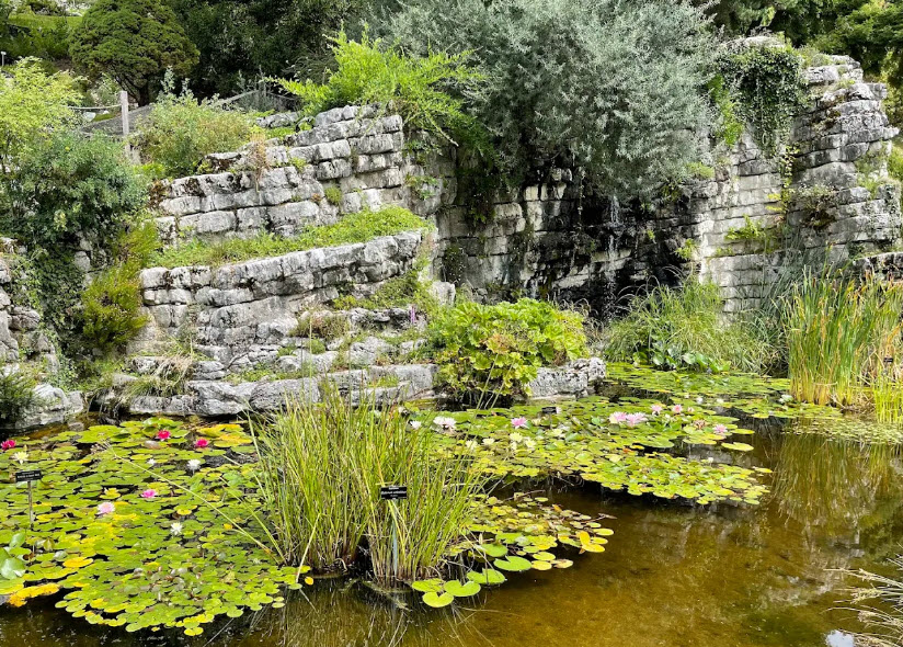 Lausanne Botanical Garden, Lausanne, Switzerland, Switzerland